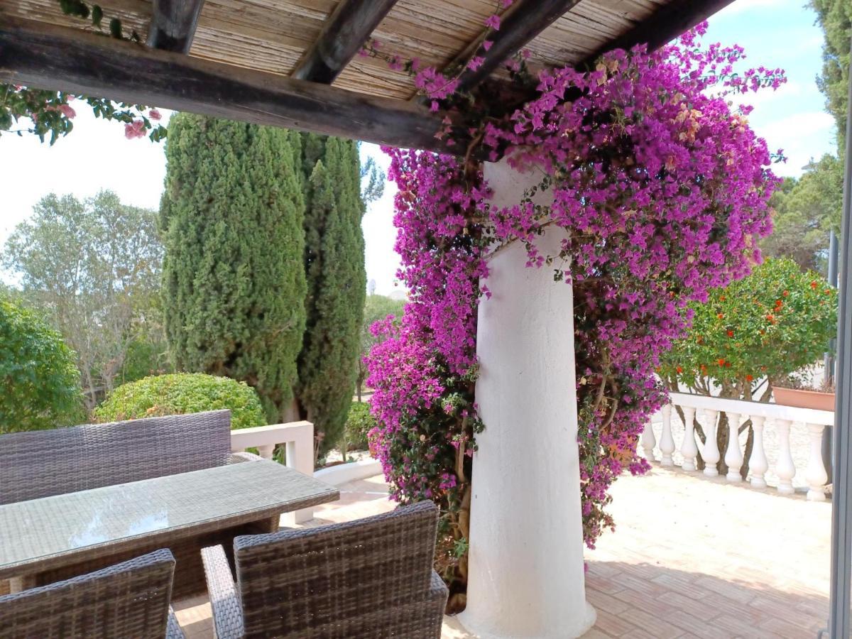 Quinta Do Paraiso - Casa Colynda كارفويرو المظهر الخارجي الصورة